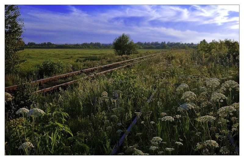 Здесь некому шуметь фото превью