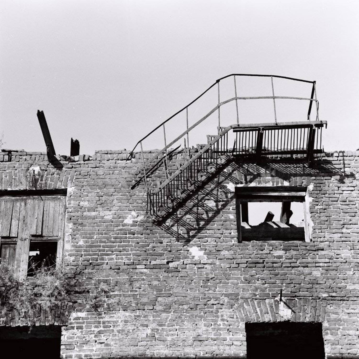 6х6,фотоплёнка,негатив, ч\б, Sergey Tarba