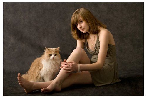 два рыжих котенка ...