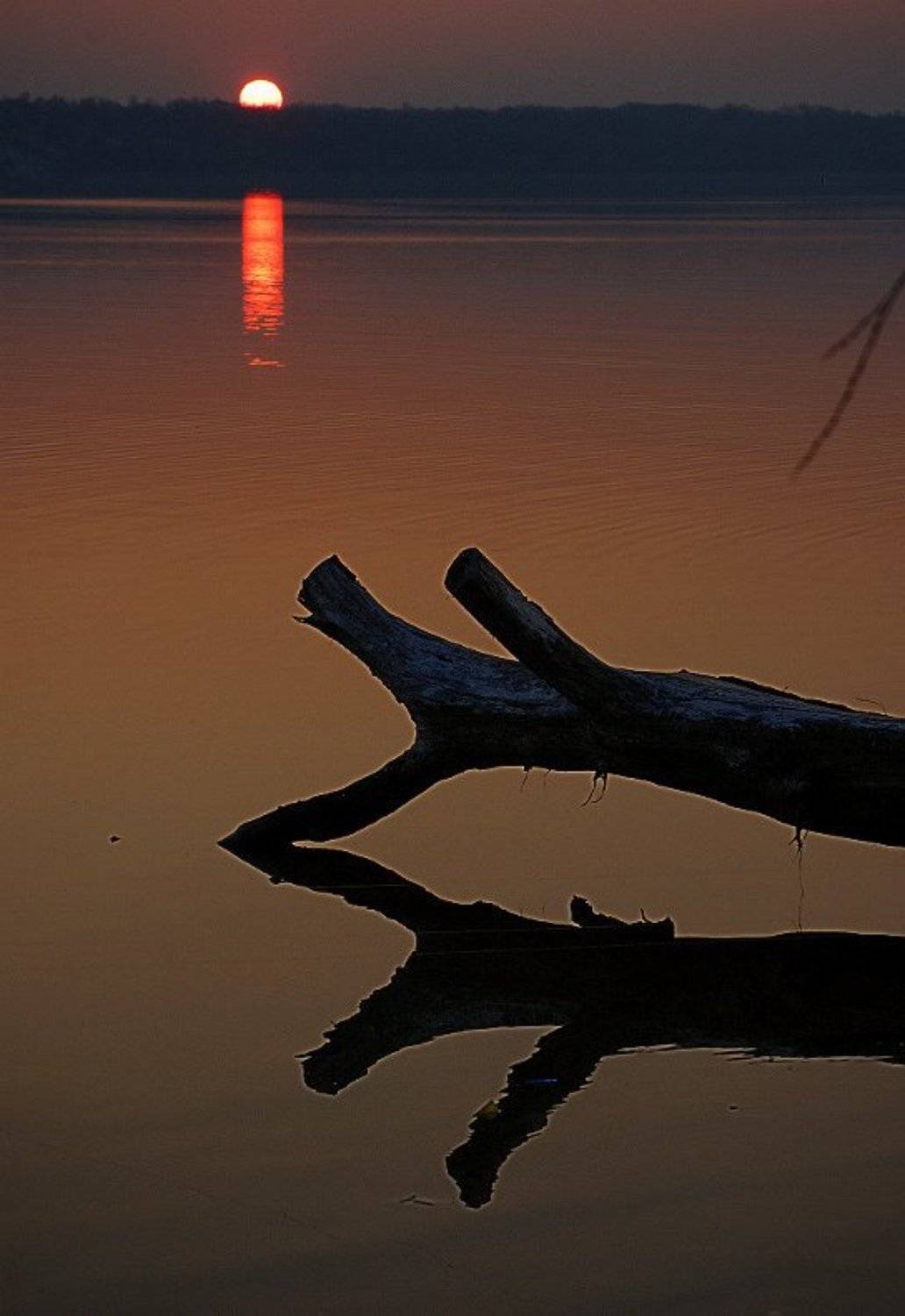 , Евгений Смердов