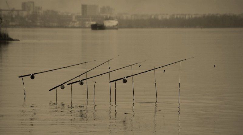 квартет фото превью