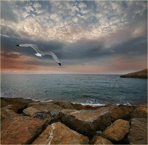 Тревожный каталонский рассвет