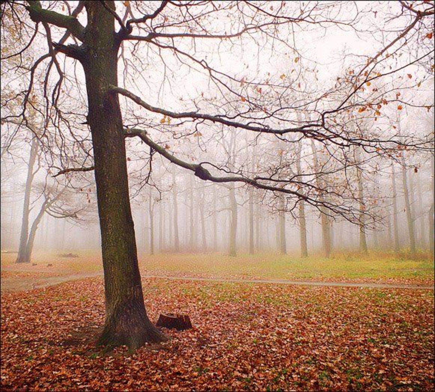 , Сергей Борисов