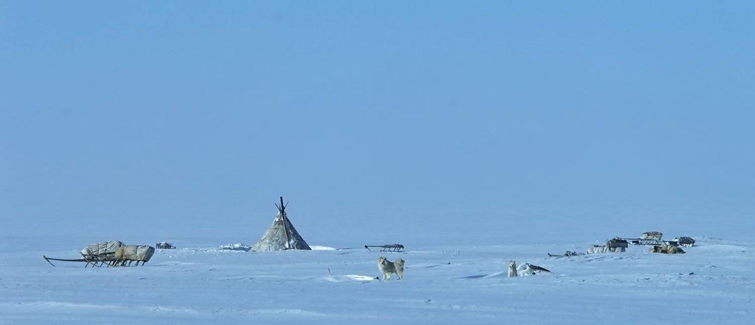 чум, жизни на краю земли, север, тундра, Danil Husainov