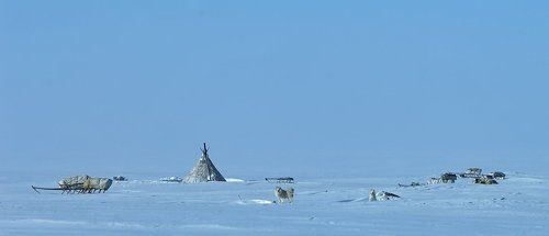 жилище (чум)