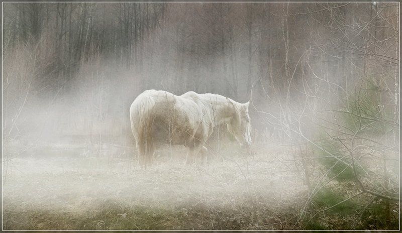 Старость.Одиночество... фото превью