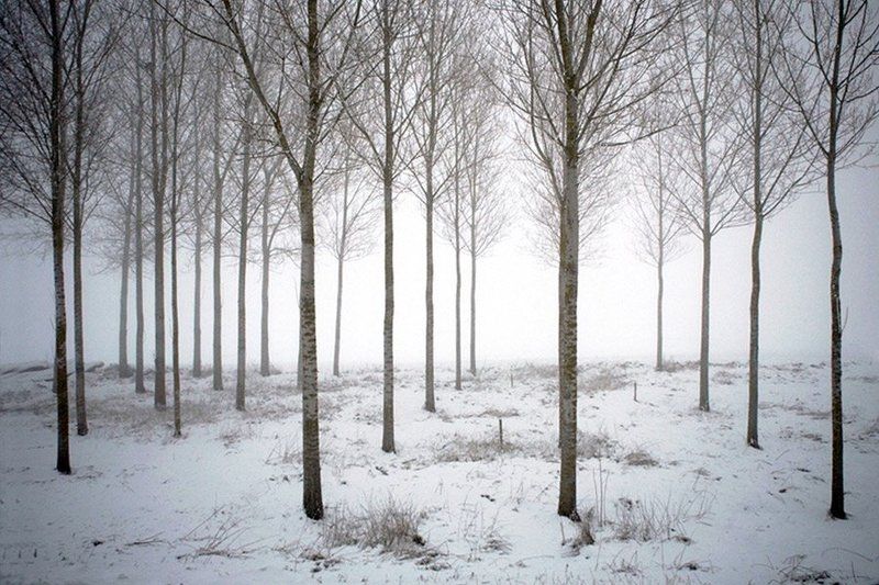 +++ фото превью