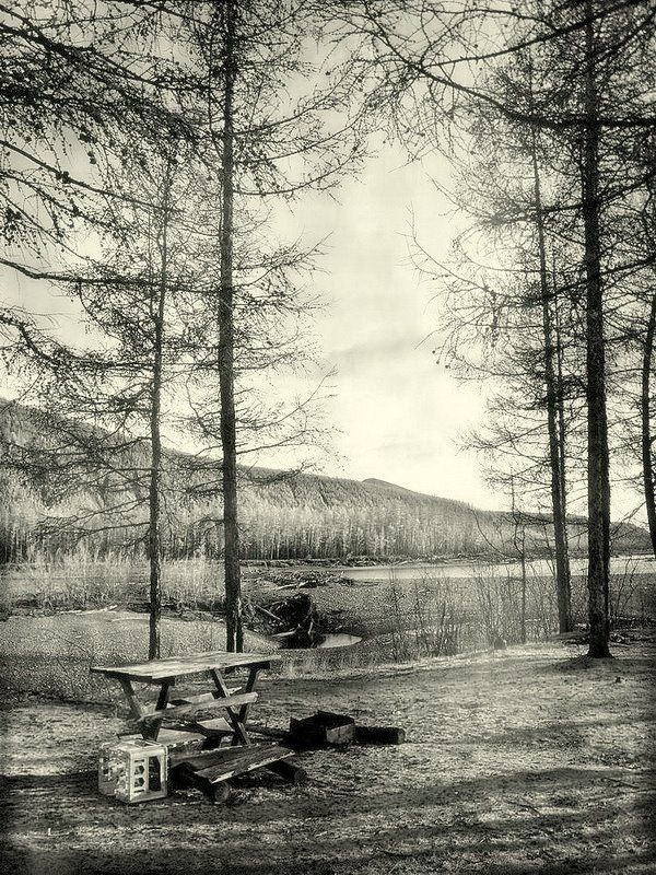 таежный  натюрморт.. фото превью