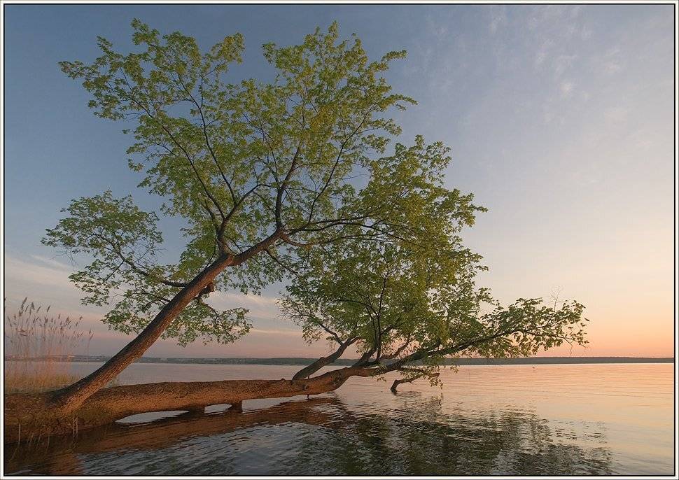 , izh Diletant (Валерий Щербина)