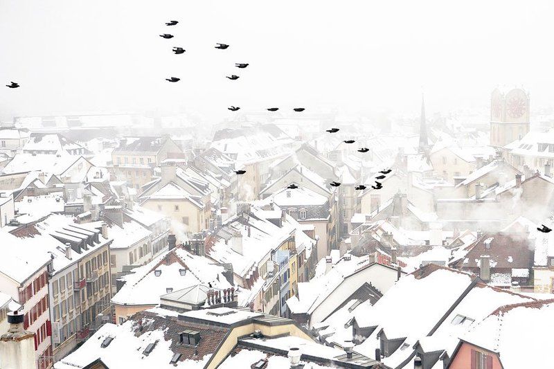 +++ фото превью