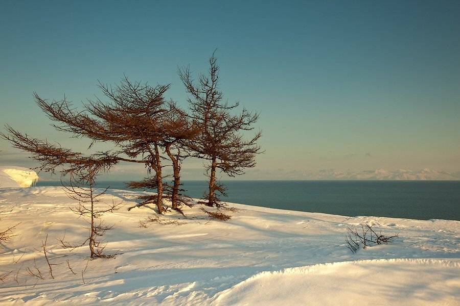 магадан, Sir Fisher