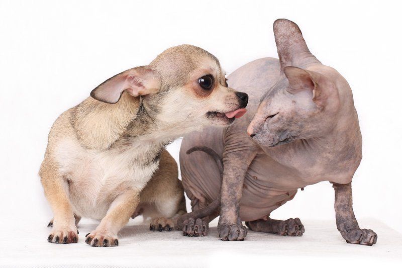 Про чувства)) фото превью