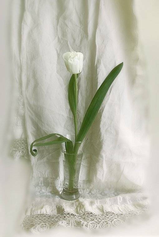 , Лямеборшай Валерия