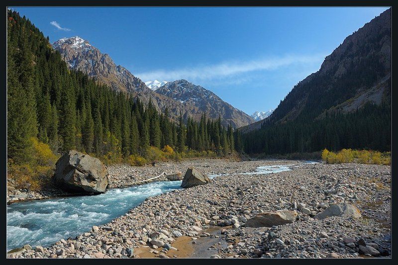 горы,природа,ущелье,река,вершины,скалы,цветы,облако,ущелье,лес,кусты,бревно Вечер на горной реке фото превью