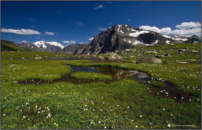 Высокогорный луг фото превью