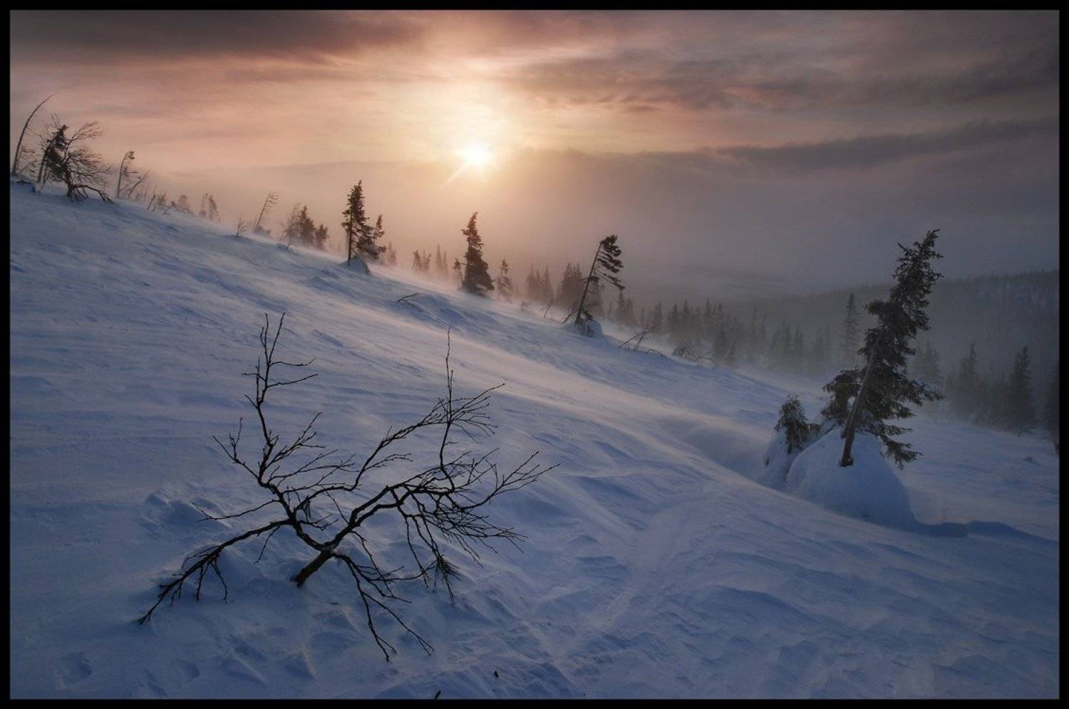 кандалакша, колвица, кольский, Kordan