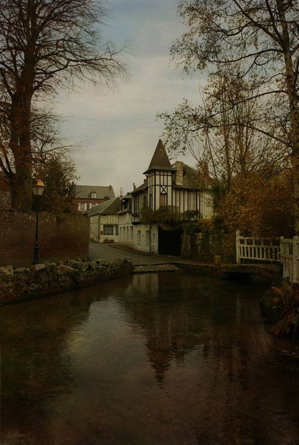 франция, виль-де-роз, сказка, городок, улочка, дома, Darn Cat