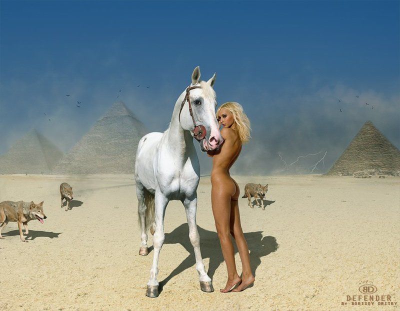 Defender фото превью