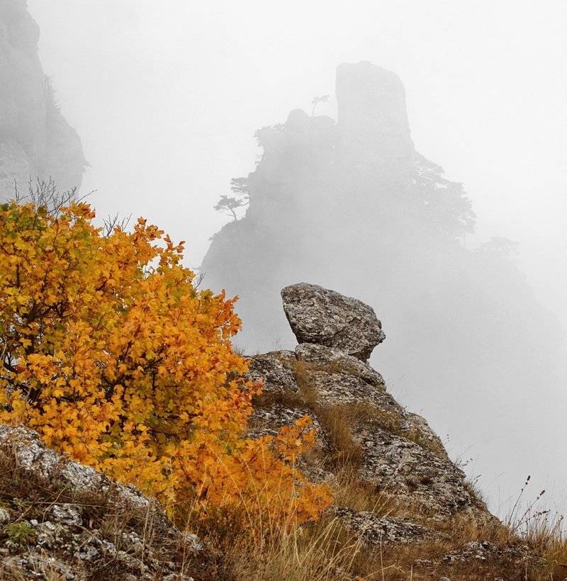 , Андрей  Золочевский
