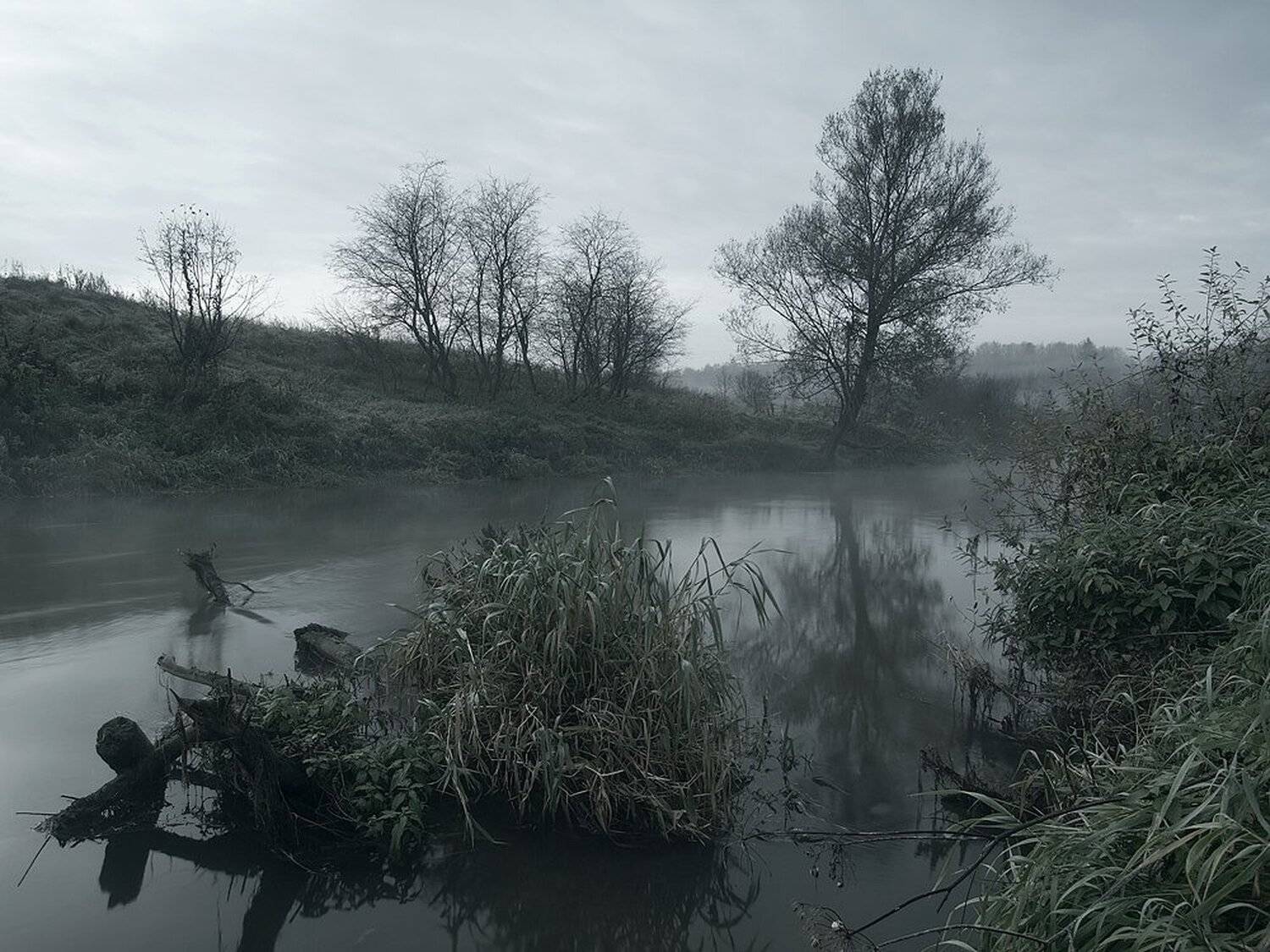 , Максим Евдокимов