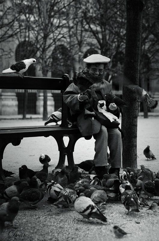 франция, париж, пале-рояль, голуби, женщина, время, ланча Lanchtime фото превью