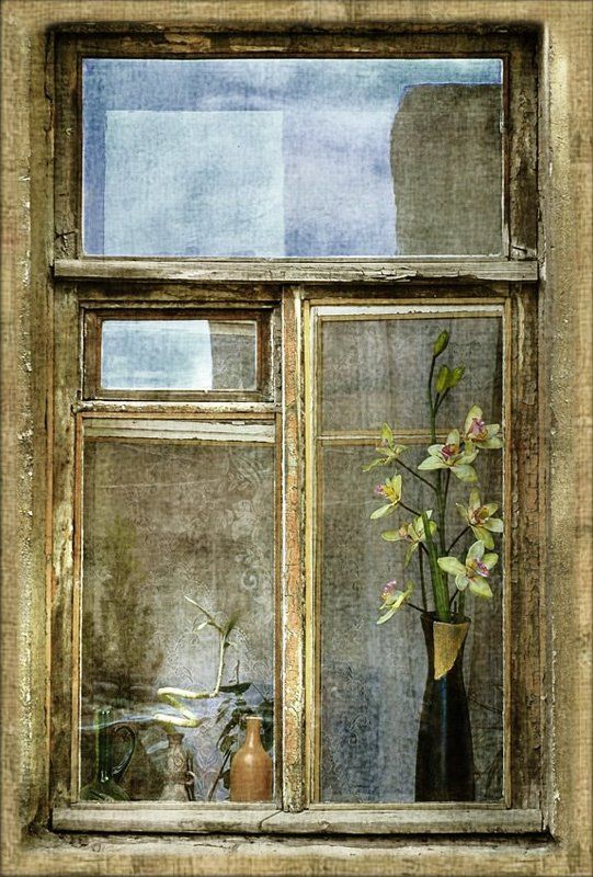 санкт-петербург, лычёв александр *** фото превью