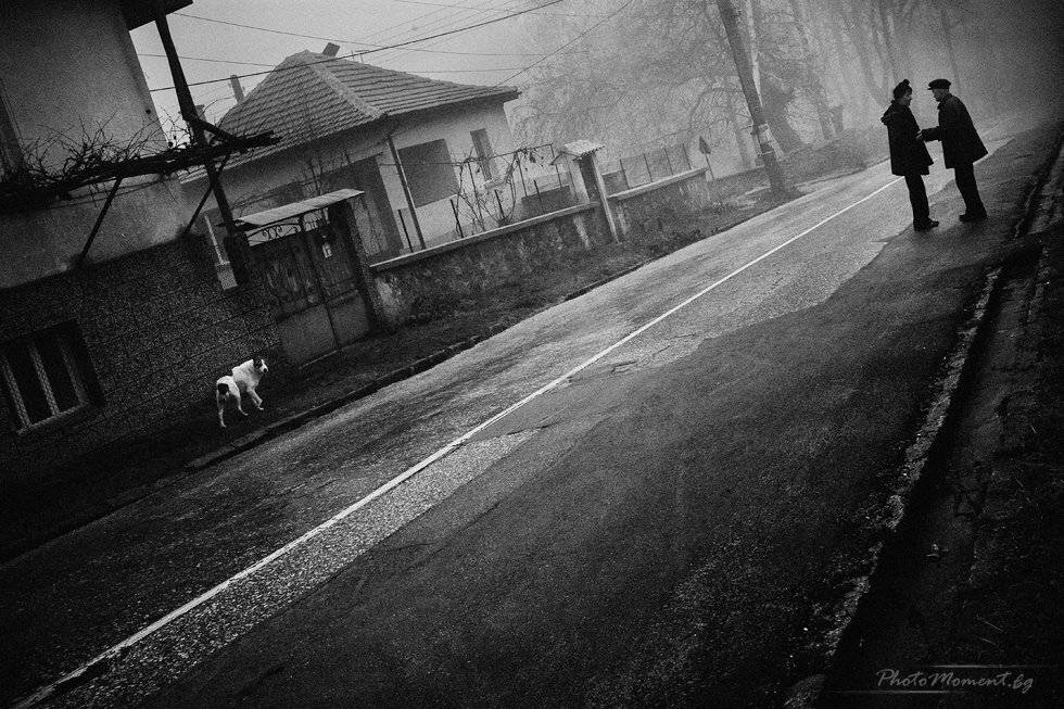 болгария, Denis Buchel