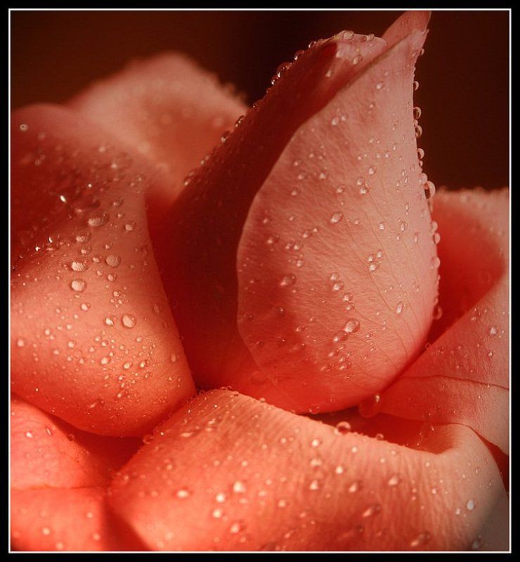 Капельки фото превью