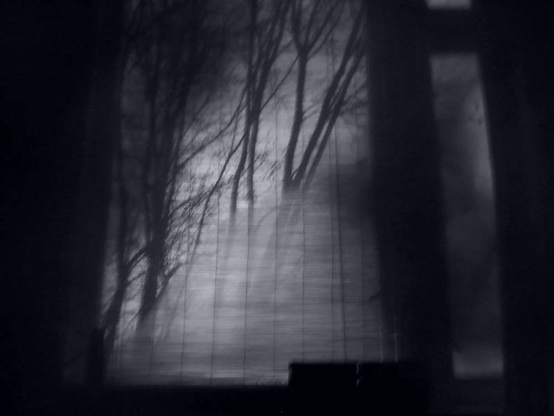 window_seven  фото превью