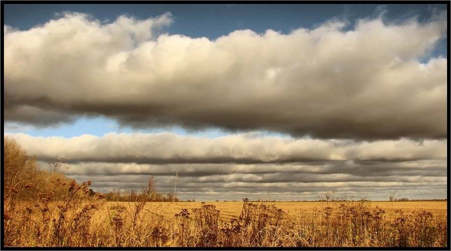 , Лунный Ежик