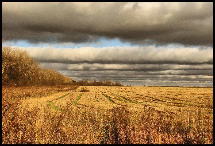 , Лунный Ежик