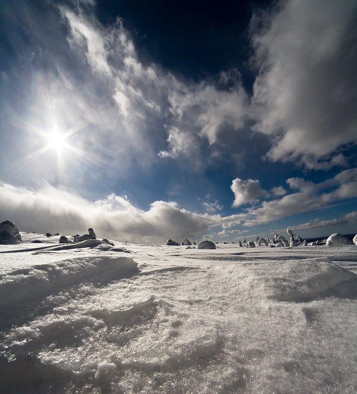 Солнечный денёк... фото превью