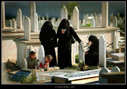 # Черные вдовы Газы # из серии # Газа не сдается!! #