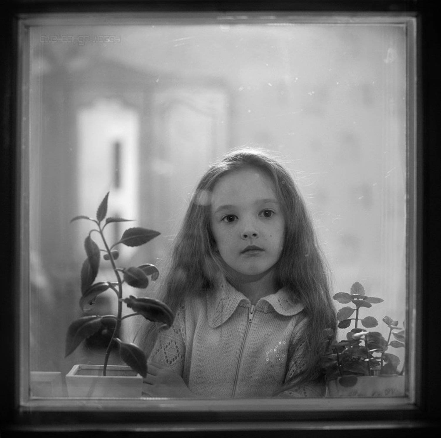 девочка,вечер,окно, Александр Лобач