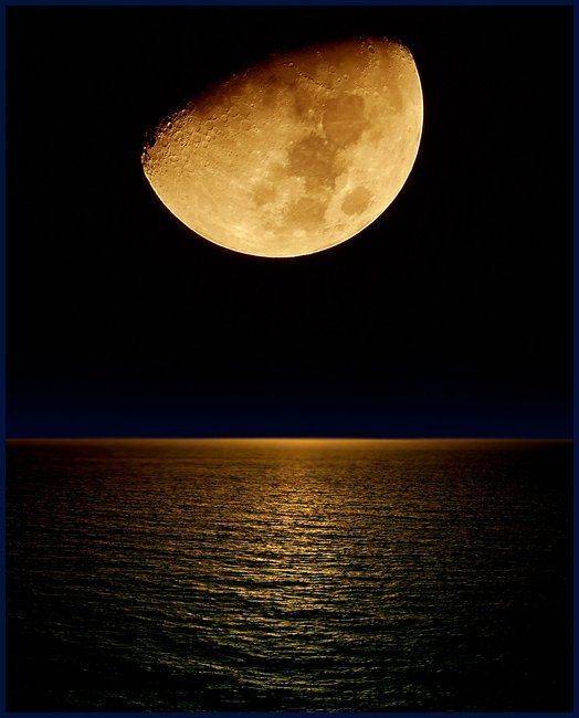 , балаганофф