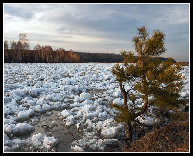 ледоход, на, реке, кондома Началось, на радость и на печаль ... фото превью