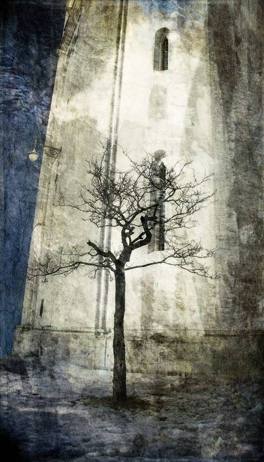 , Лямеборшай Валерия