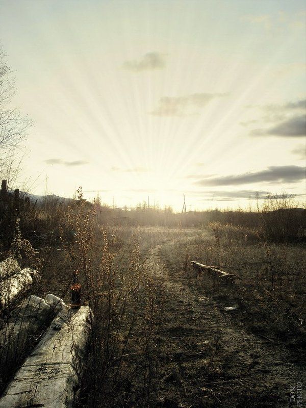 к свету... фото превью