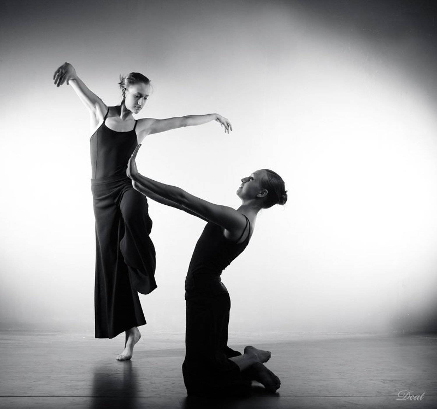 dream, about, the, caught, and, rejected, crane, girls, сон, о, пойманном, и, отвергнутом, журавле, девушки, Darn Cat