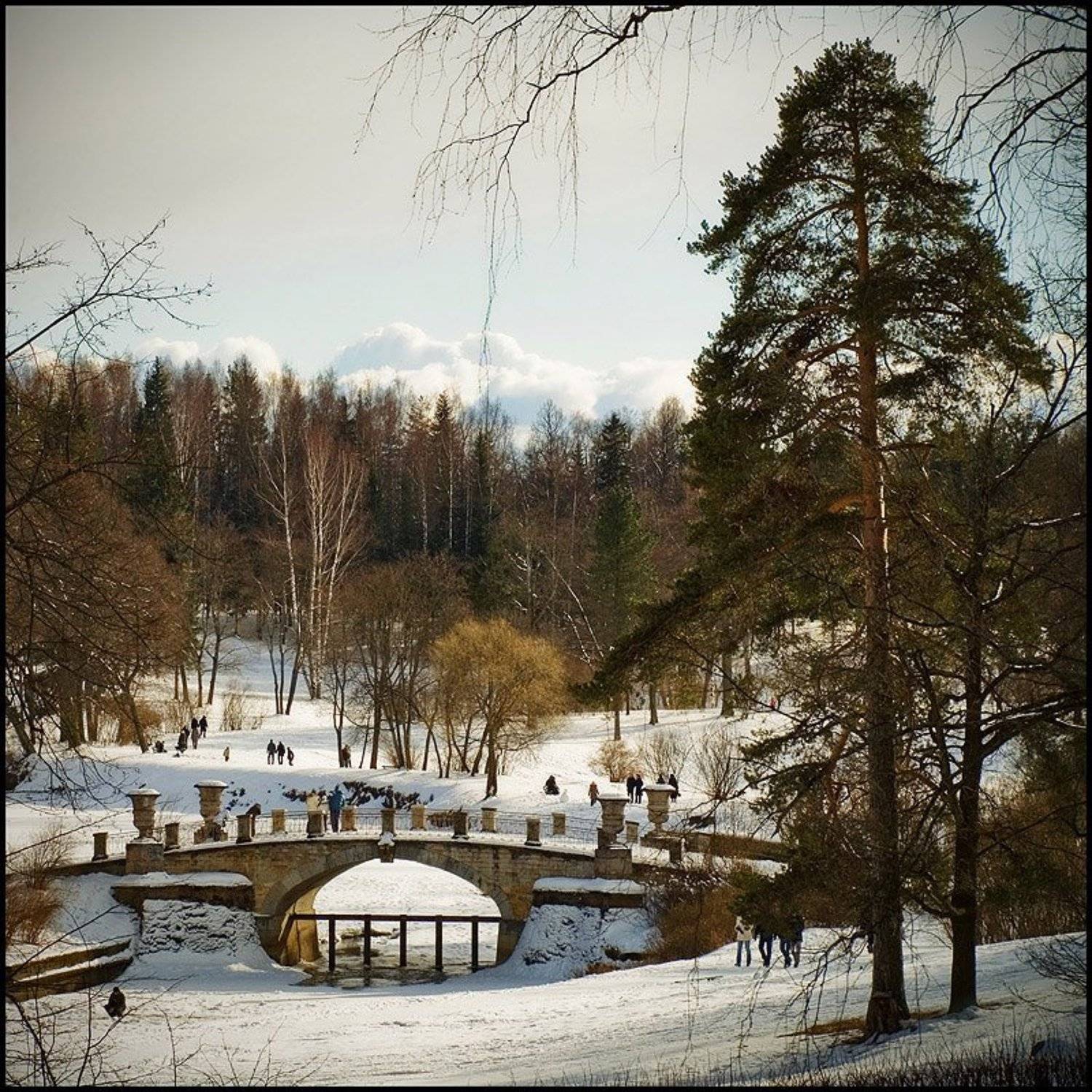 санкт-петербург, павловск, парк, зима, весна, Андрей Литов