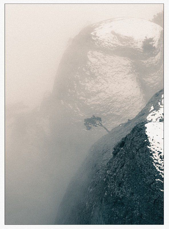 на склонах демерджи фото превью