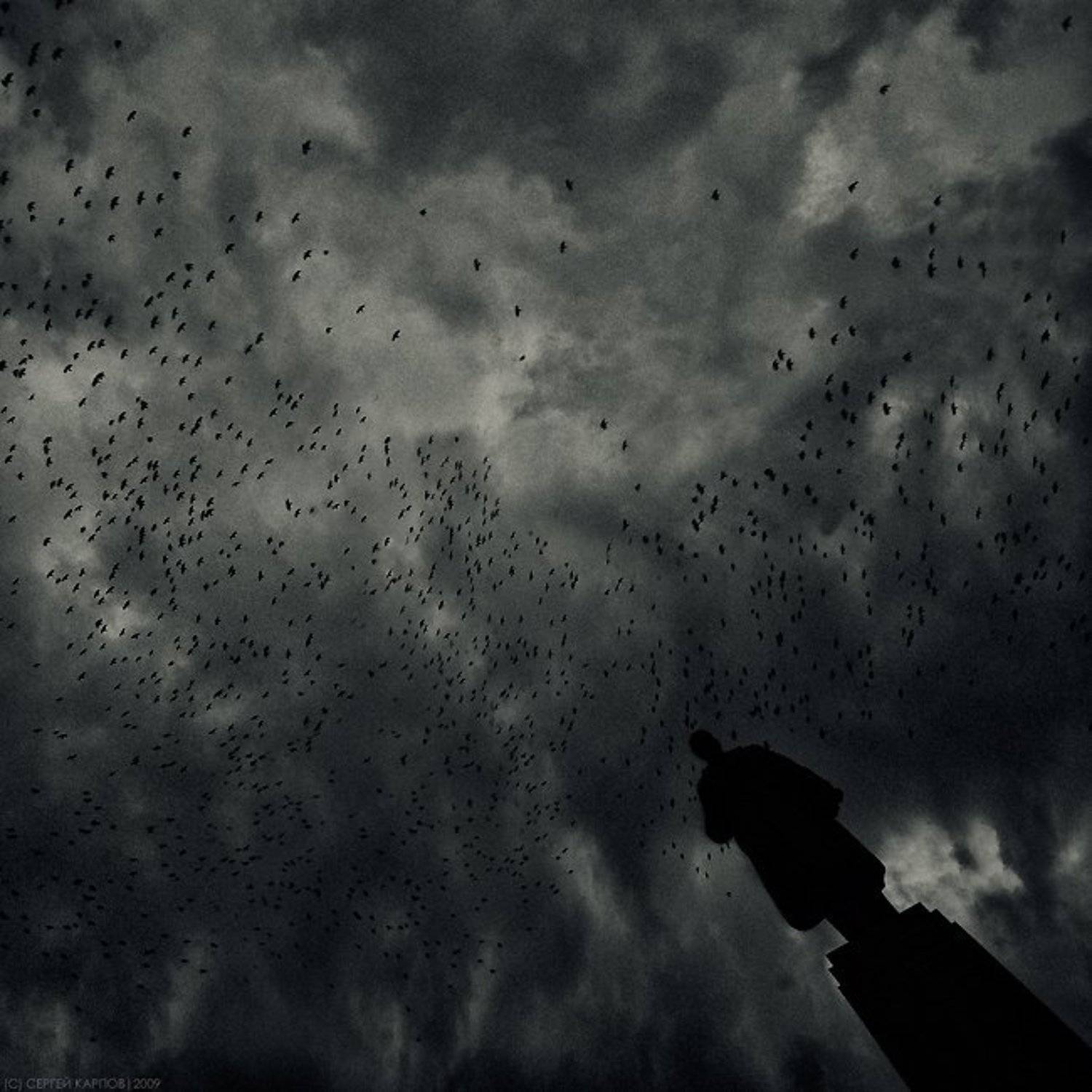 смутное,время,птицы,ленин,небо, Сергей Карпов