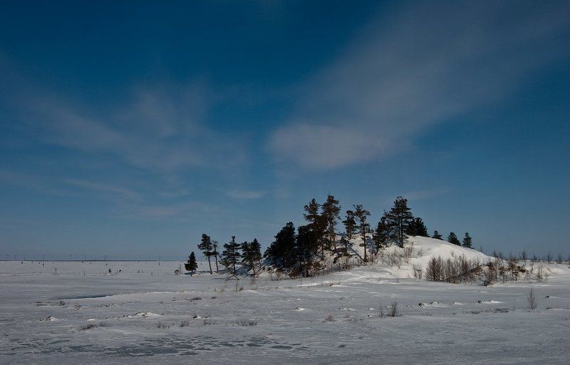 Оазис тундры фото превью