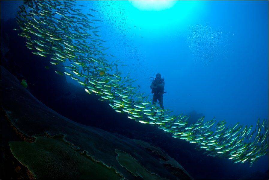 , Сергей Шанин