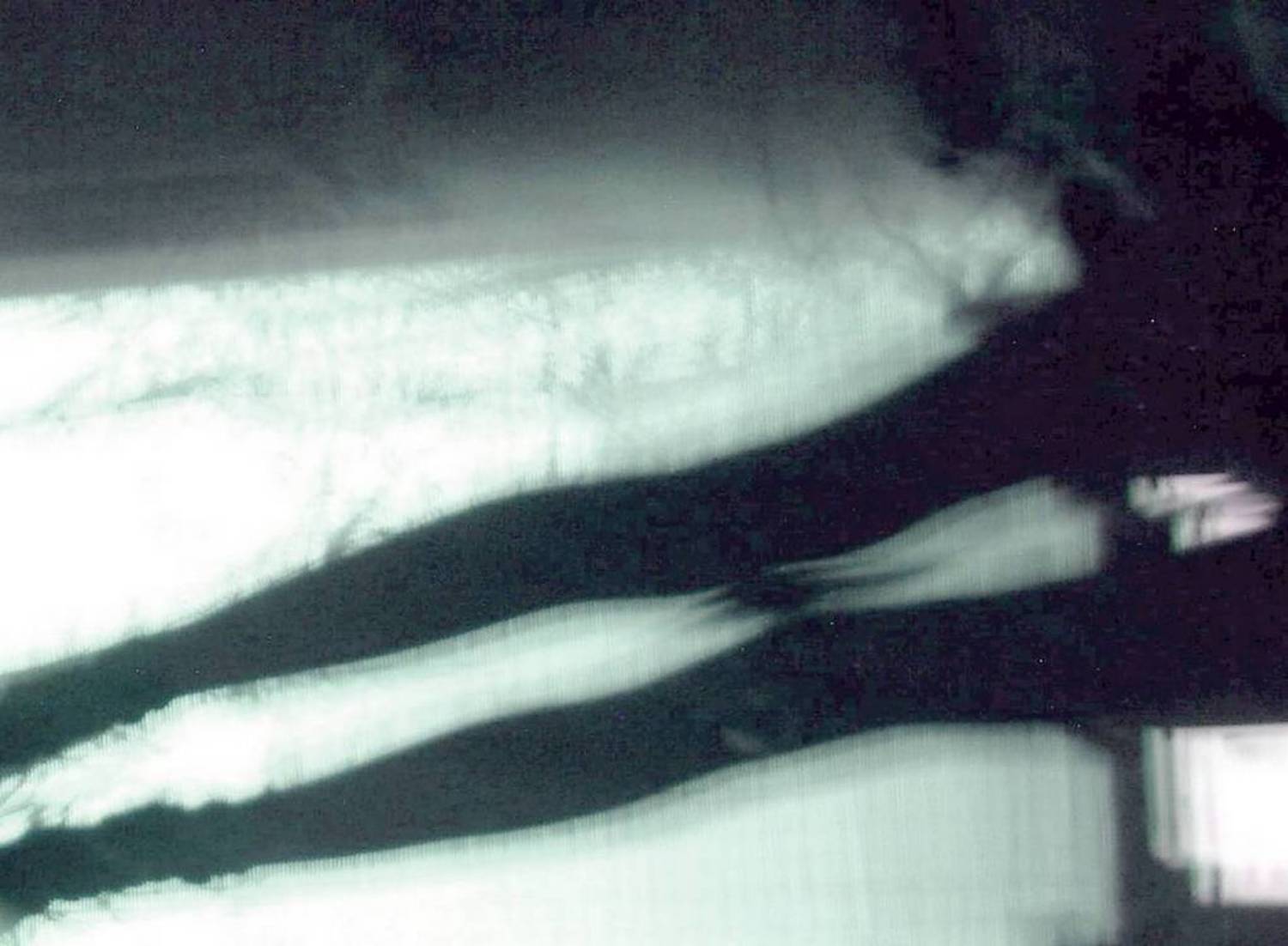 jump_, Deep in Violet