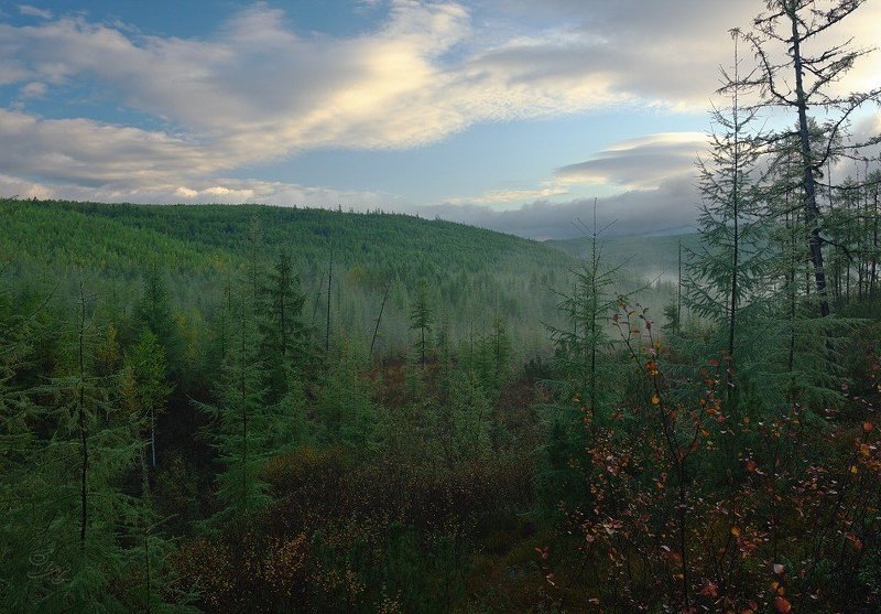 дуссе_алинь, бам, дальний восток Дуссе-Алинь фото превью