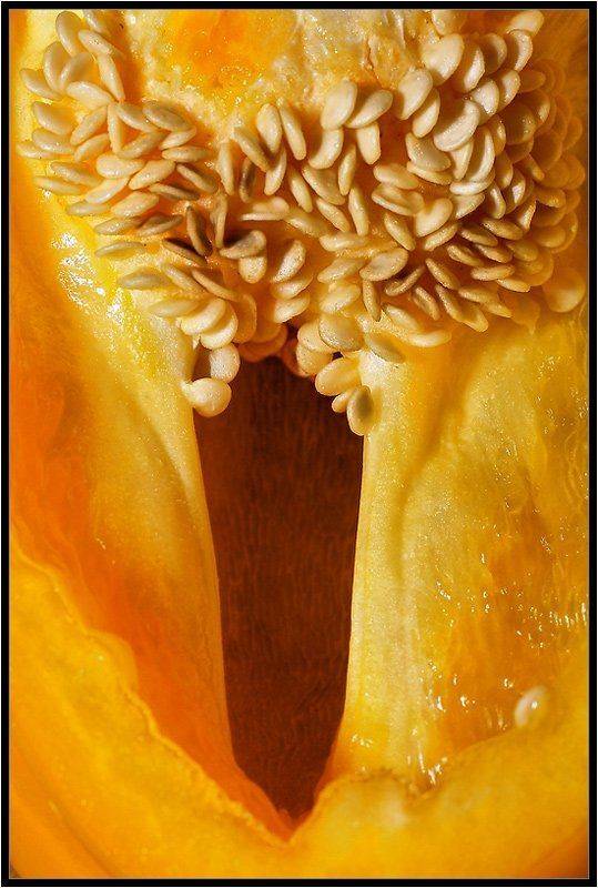 , Качурин Алексей