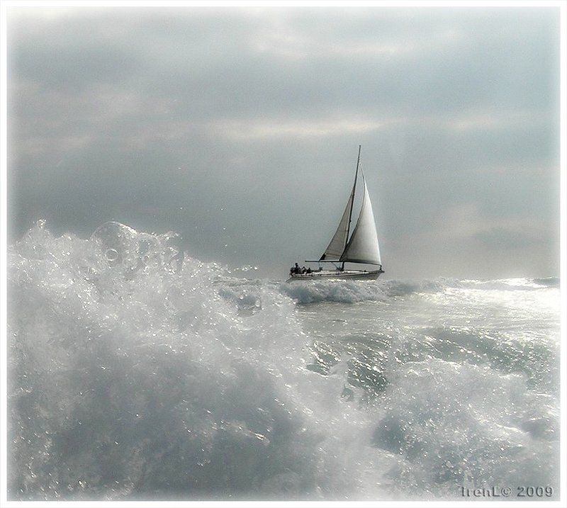 по воле волн фото превью