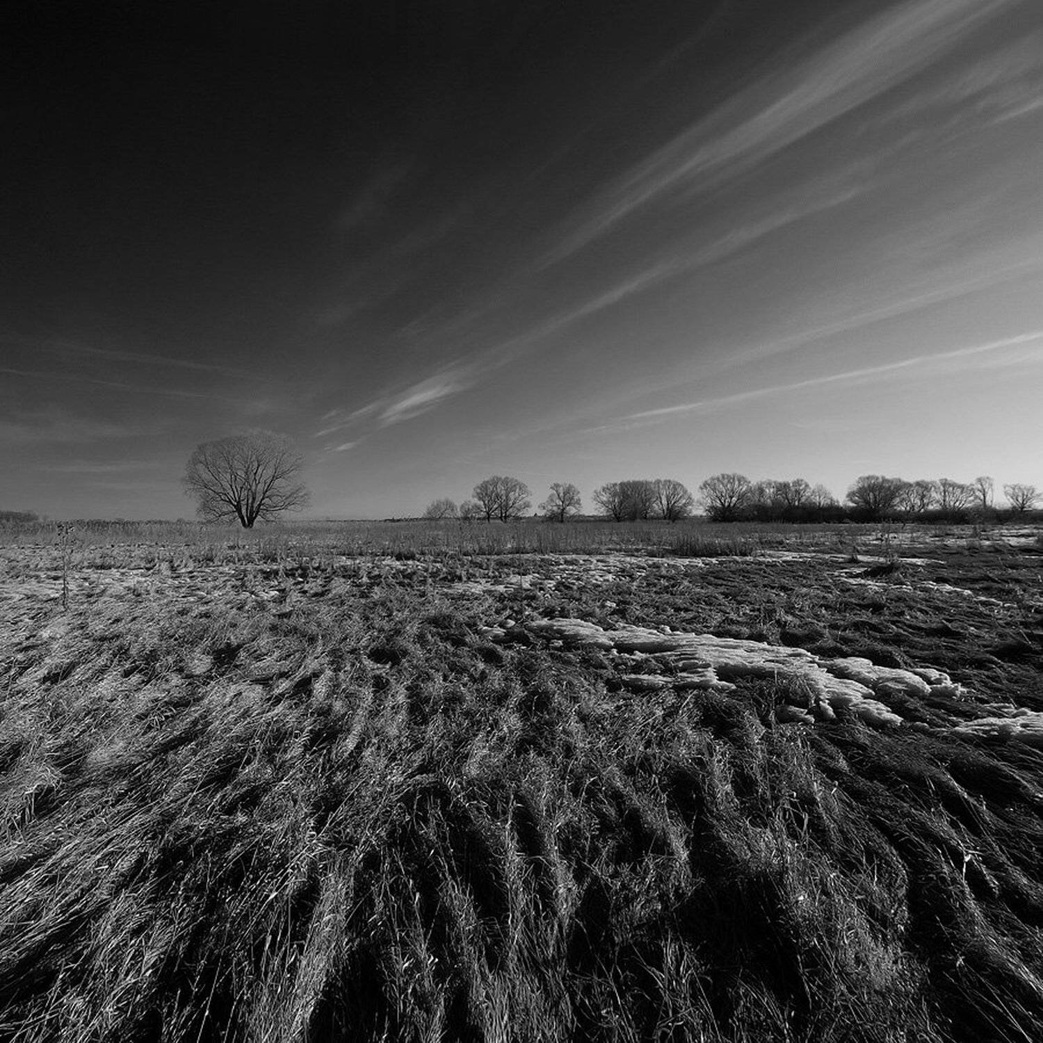 , Максим Евдокимов