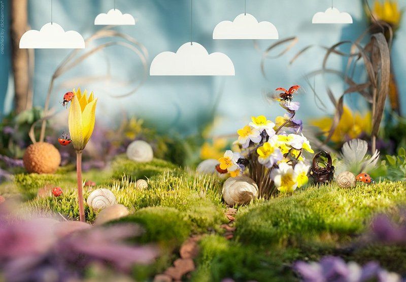 народец Мая фото превью